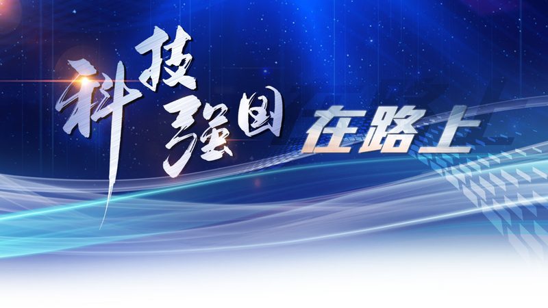 数据服务报价单自动计算：企业IT决策者的效率利器**
